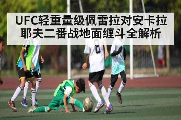 UFC轻重量级佩雷拉对安卡拉耶夫二番战地面缠斗全解析